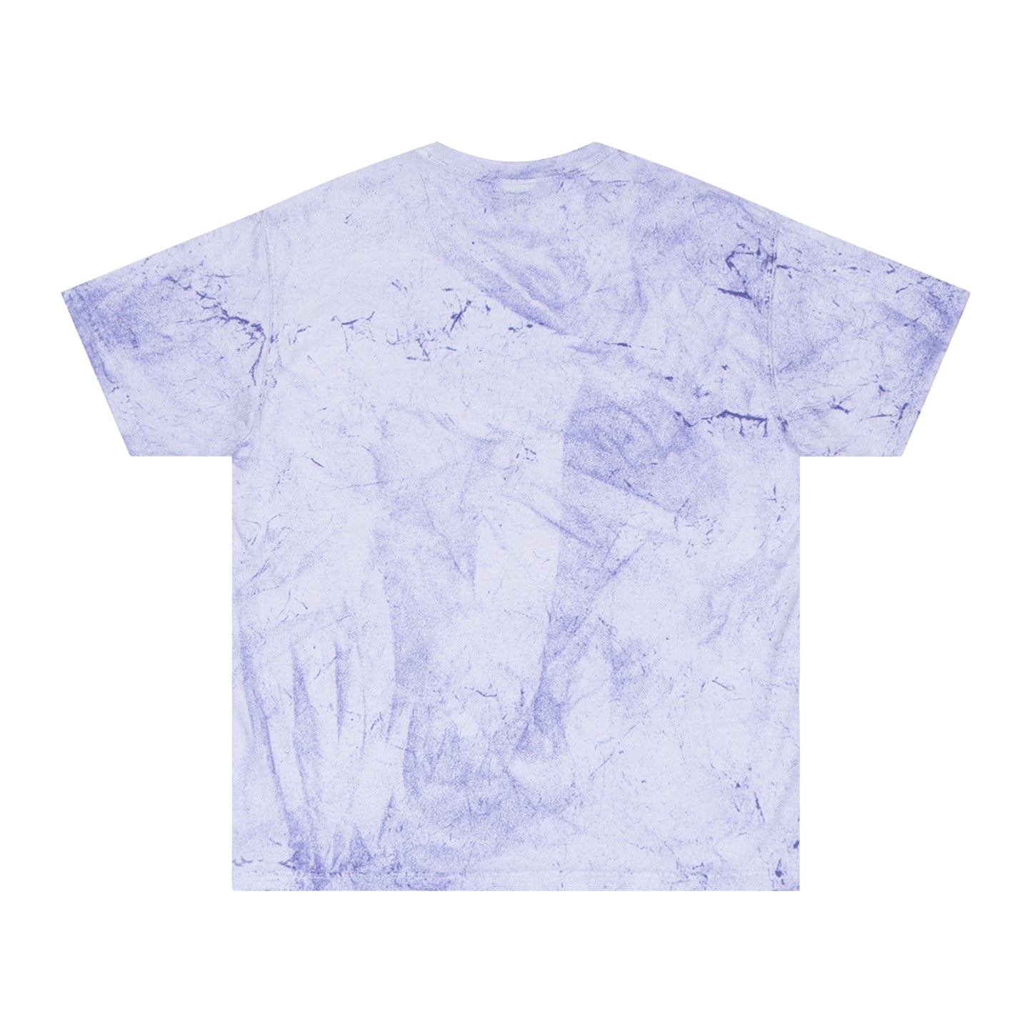 Disc Golf Armadillo Color Blast T-Shirt
